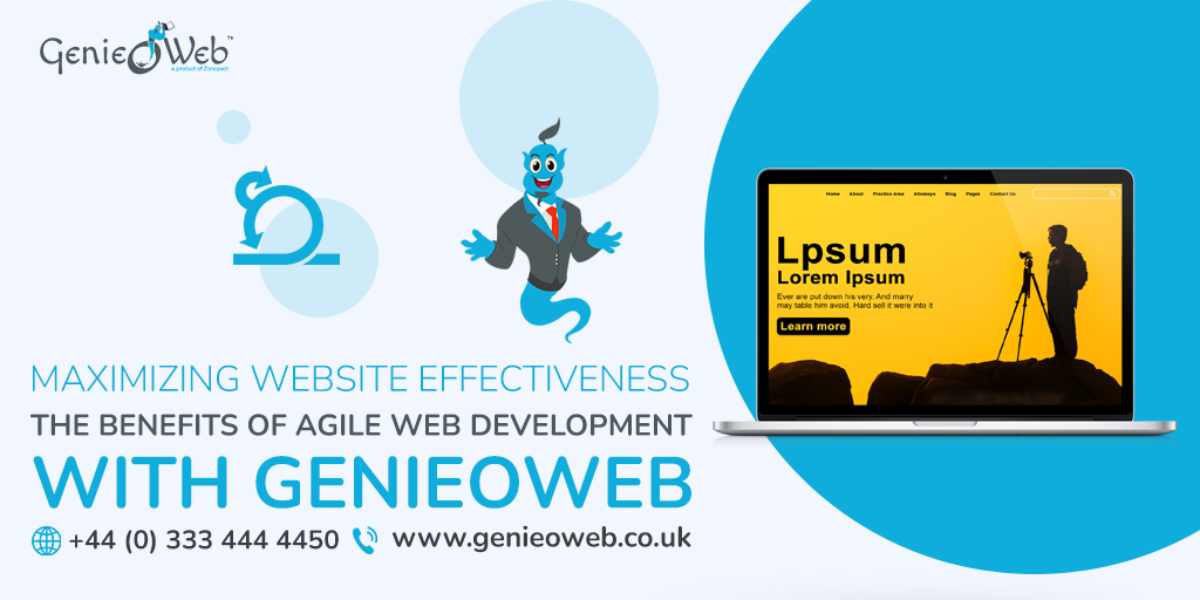Maximizing Website Effectiveness The Benefits of Agile Web Development with GenieoWeb